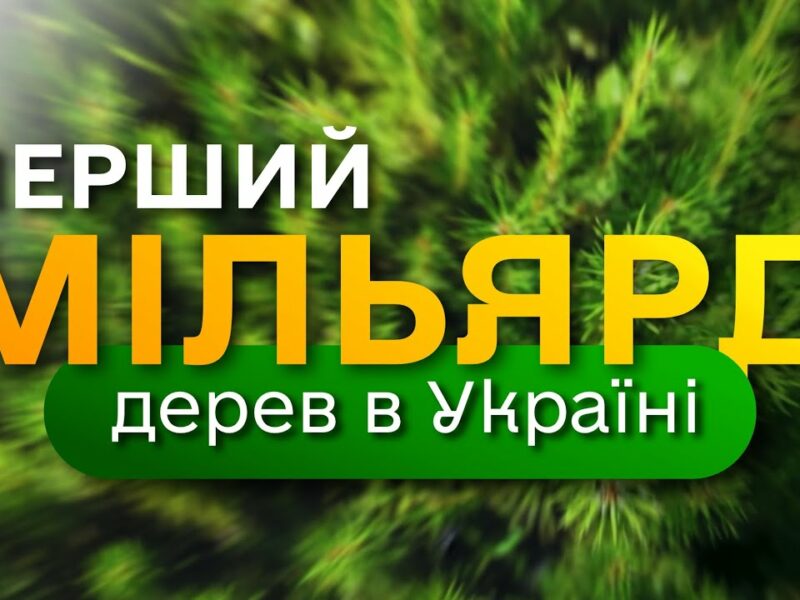 МІЛЬЯРД дерев в Україні / програма Президента ЗЕЛЕНА КРАЇНА / як ДП “Ліси України” вирощує сіянці