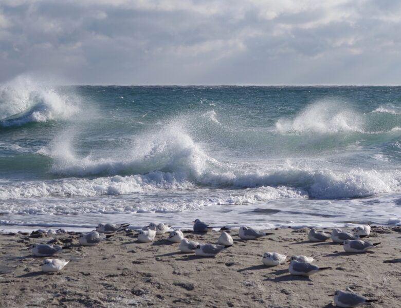 Морську міну винесло на узбережжя Одещини
