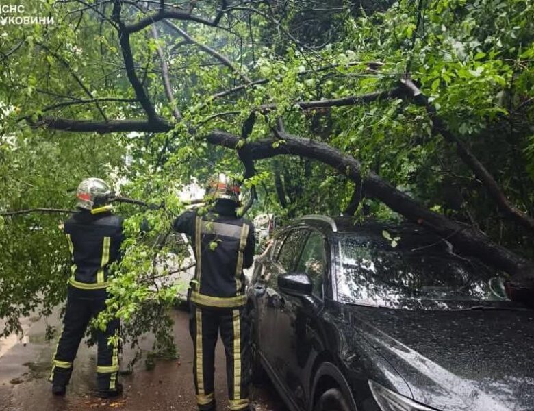 На Буковині через негоду понад 26 тисяч споживачів залишились без світла