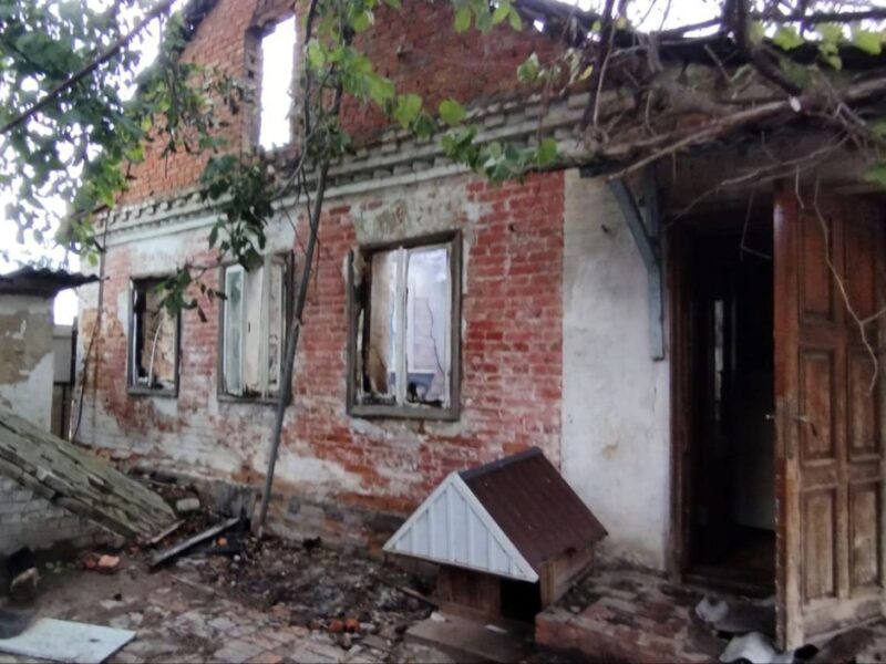 На Дніпропетровщині через обстріл загинула худоба, є постраждалі