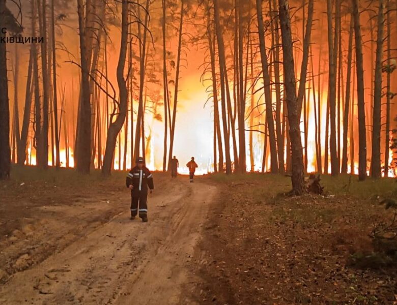 На Харківщині вирують масштабні лісові пожежі