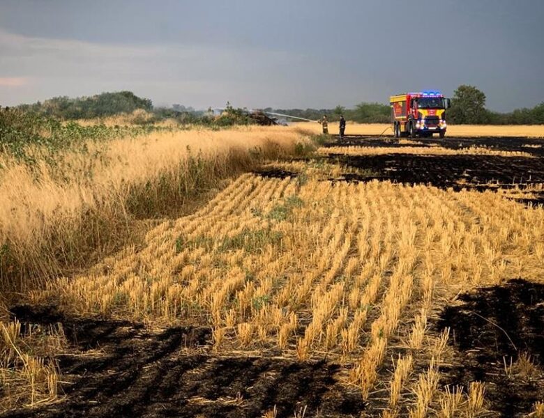 На Миколаївщині вигоріло 70 гектарів пшениці