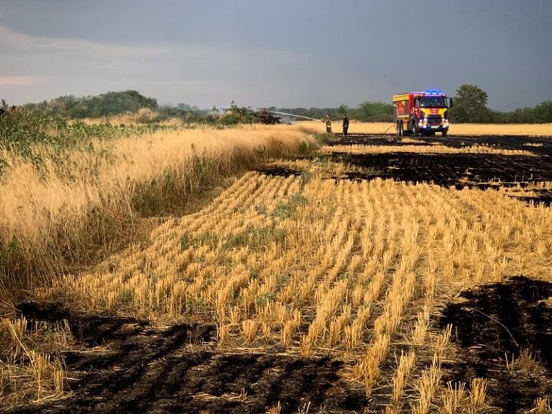 На Миколаївщині вигоріло 70 гектарів пшениці