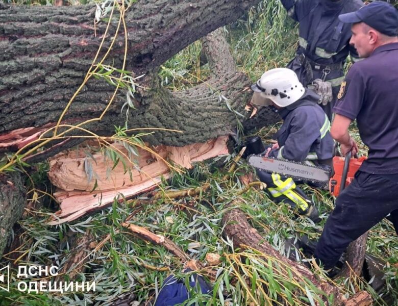На Одещині через падіння дерева загинув підліток