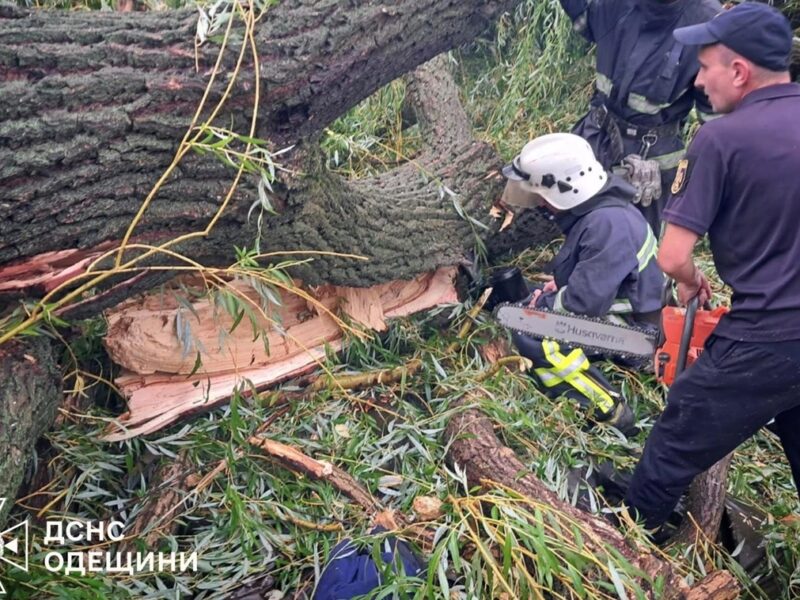 На Одещині через падіння дерева загинув підліток