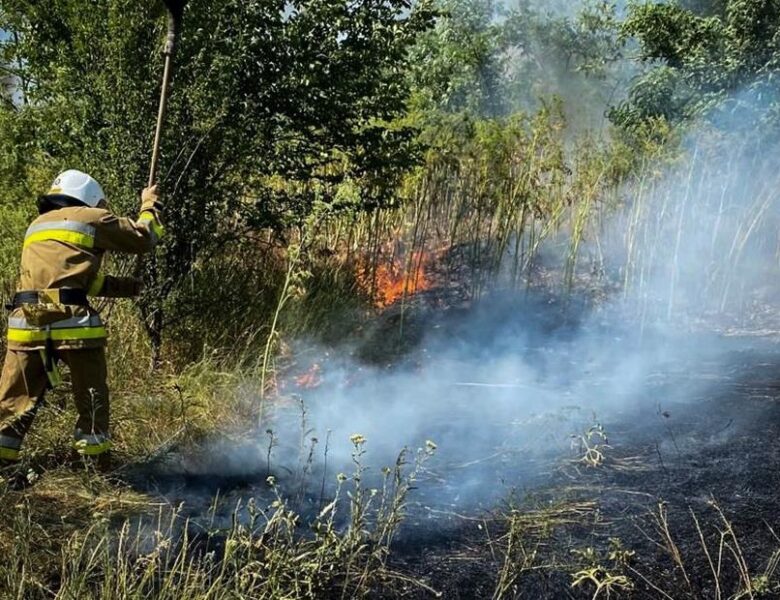 На Одещині вирують масштабні пожежі: є жертва