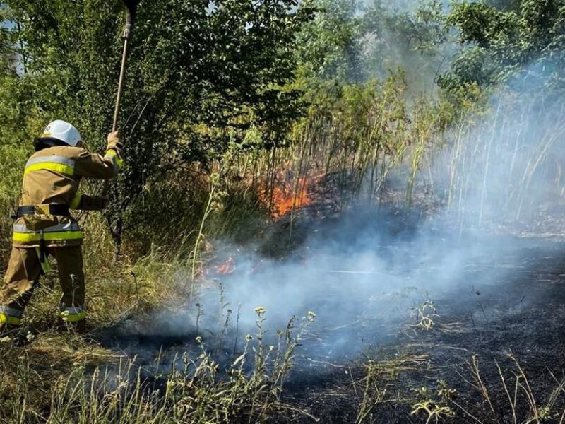 На Одещині вирують масштабні пожежі: є жертва