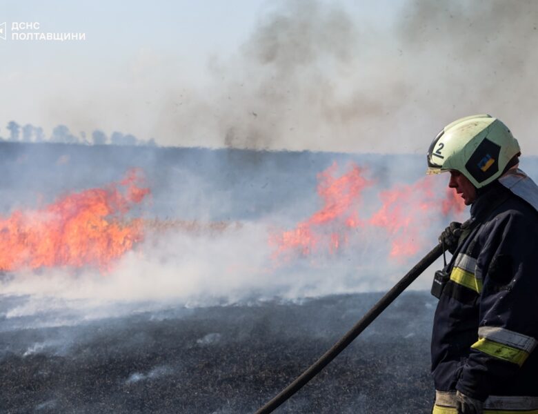 На Полтавщині пожежа знищила поле зернових