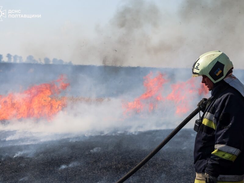 На Полтавщині пожежа знищила поле зернових