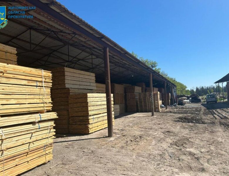 На Житомирщині судитимуть посадовців за розкрадання лісу