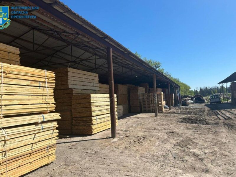 На Житомирщині судитимуть посадовців за розкрадання лісу