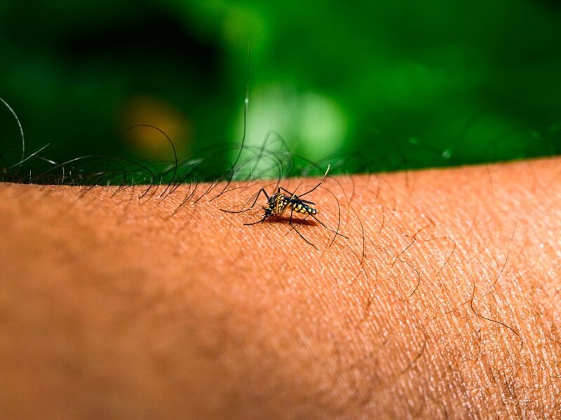 Насувається пандемія? В Європі “гуляє” новий вірус