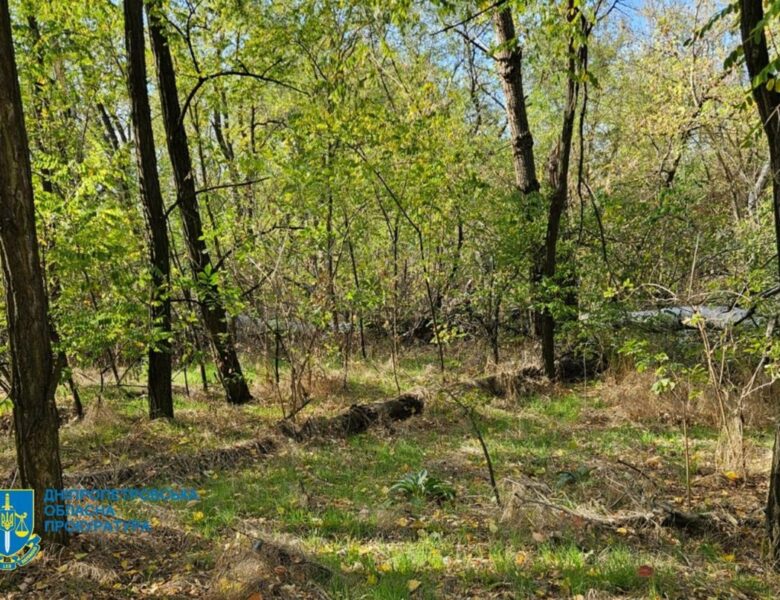 Незаконна вирубка лісу на Дніпропетровщині призвела до 34 млн збитків