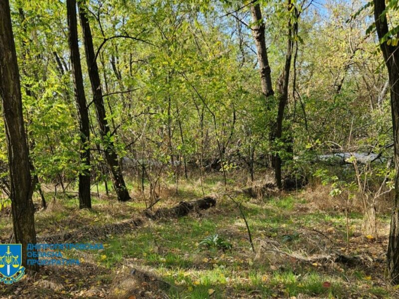 Незаконна вирубка лісу на Дніпропетровщині призвела до 34 млн збитків