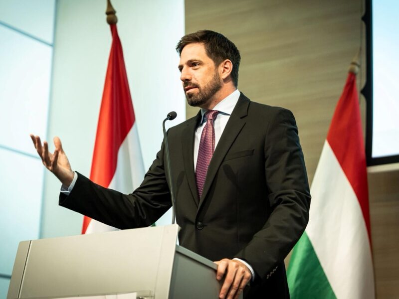 Посла України викликало МЗС Угорщини через смерть мобілізованого угорця