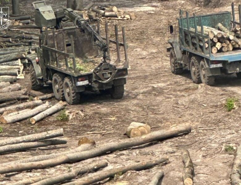 Повідомлено про підозри 13 працівникам Ліси України та ЛІАЦ