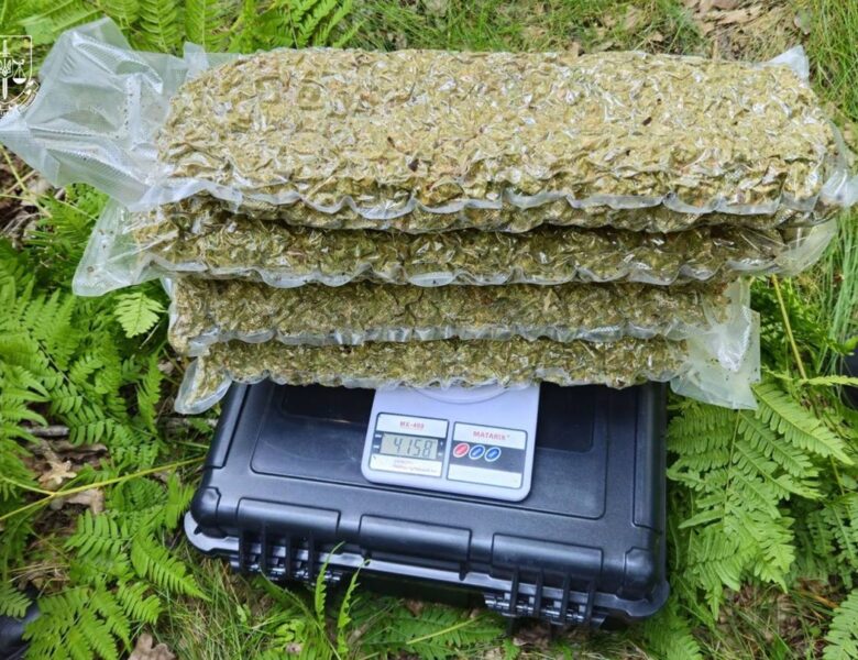 Правоохоронці знешкодили наркокартель із Кривого Рогу