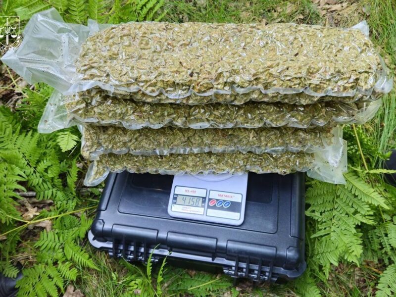 Правоохоронці знешкодили наркокартель із Кривого Рогу