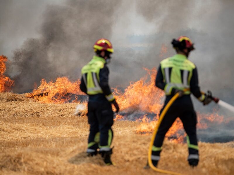 Рекордна спека в Іспанії спричинила лісові пожежі, двоє загиблих