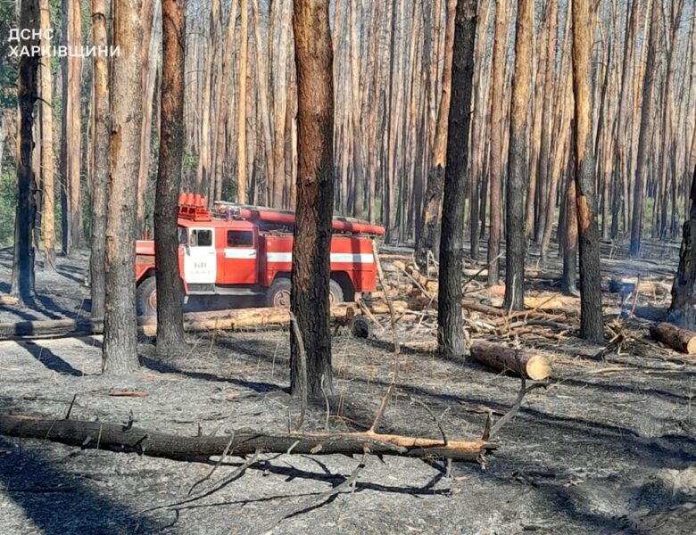 Російські обстріли Харківщини викликали вісім пожеж