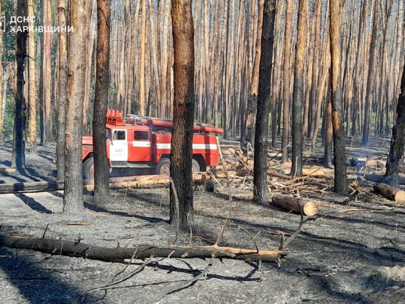Російські обстріли Харківщини викликали вісім пожеж