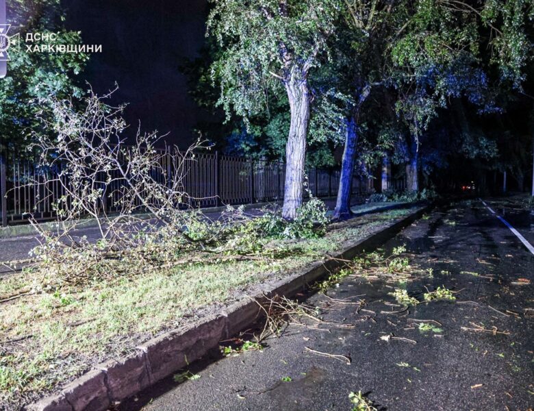 Розгул стихії: ДСНС Харківщини показала наслідки