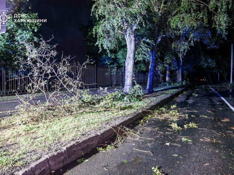 Розгул стихії: ДСНС Харківщини показала наслідки