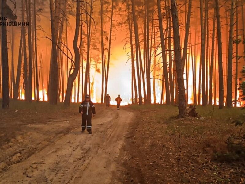 Рятувальники ліквідували понад дві сотні пожеж з початку доби