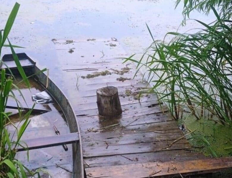 Трагедія у Дніпрі: у ставку потонула чотирирічна дитина