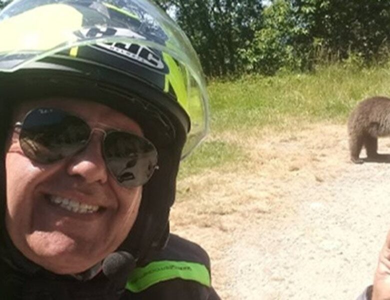 У Карпатах ведмідь загриз туриста-мотоцикліста