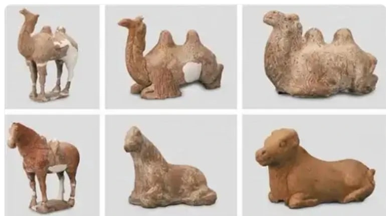 У Китаї знайдено могилу принца-заручника віком понад 1200 років