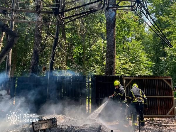 У Києві сталася пожежа у парку динозаврів