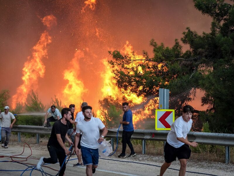 У Туреччині вирують масштабні лісові пожежі: загинули 17 людей