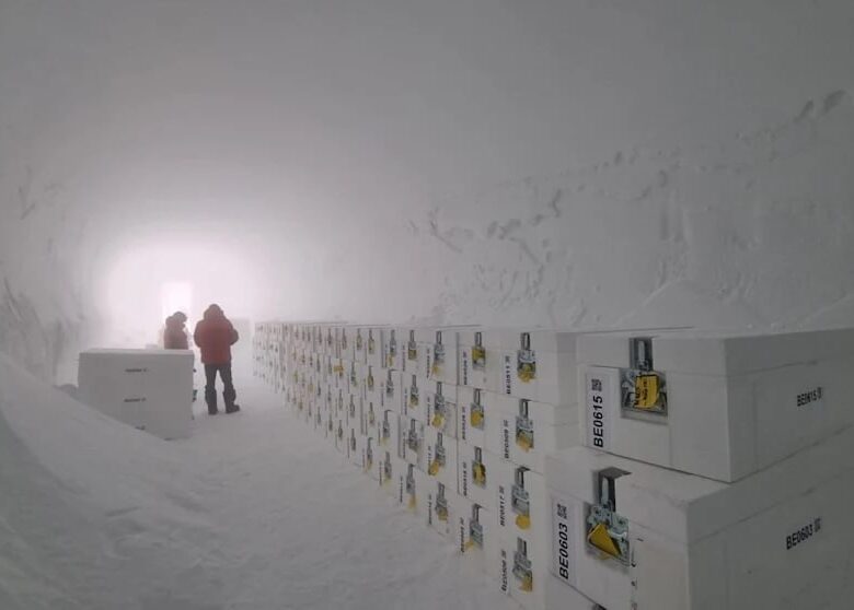 В Антарктиді знайшли найдавніше крижане ядро Землі