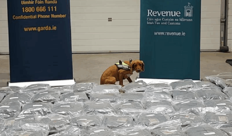 В Ірландії у вантажівці знайшли канабіс вартістю понад 2,1 млн євро