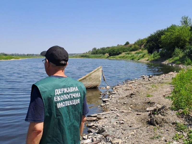 В озері на Запоріжжі зафіксували масовий мор риби
