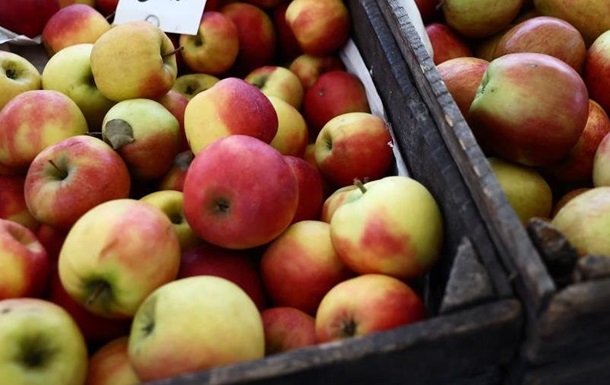 В Україні різко подорожчали яблука нового врожаю