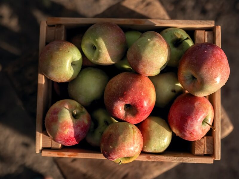 В Україні спрогнозували подальше зростання цін на яблука