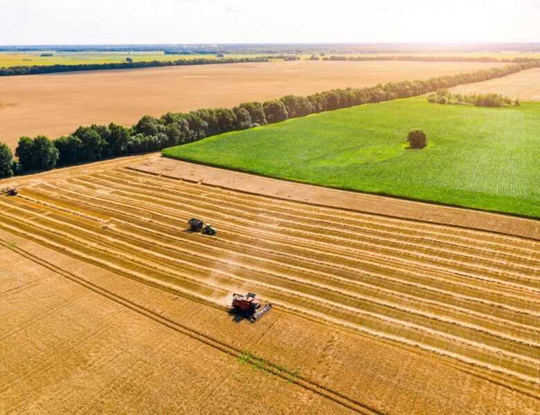 В Україні зібрали понад 10 млн тонн зерна нового врожаю