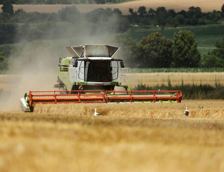 В Україні значно зросла вартість гектара землі