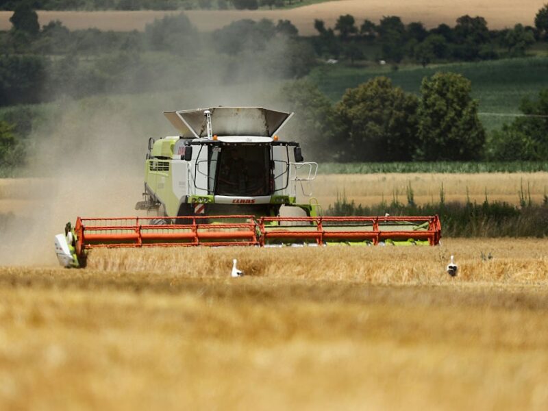 В Україні значно зросла вартість гектара землі
