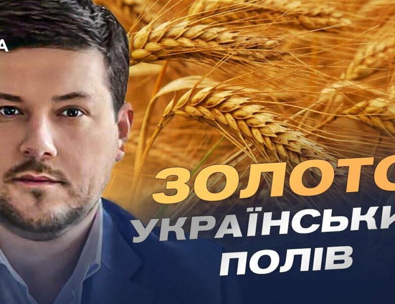 Український хліб 2025: як ідуть жнива та які прогнози | Денис Марчук