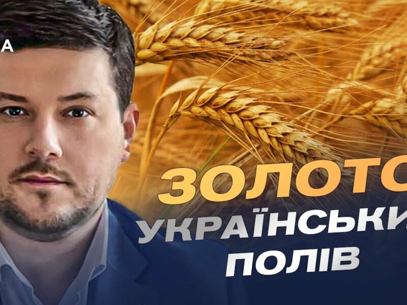 Український хліб 2025: як ідуть жнива та які прогнози | Денис Марчук