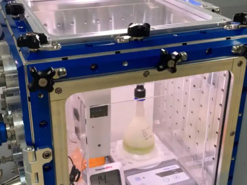 Вчені виростили водорості в умовах Марса