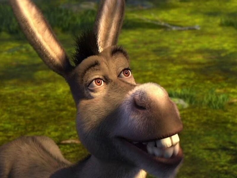 Віслюк зі “Шрека” отримає власний мультфільм