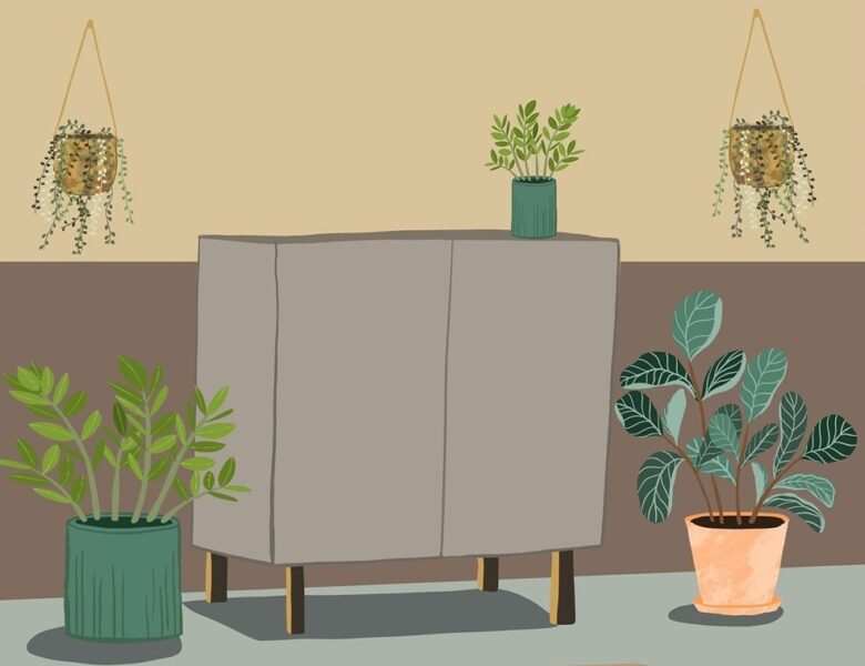 Зелений оазис у розпалі літа: як кімнатні рослини рятують від спеки та стресу