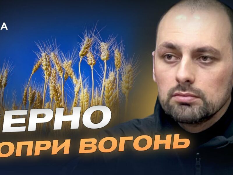 Українське зерно на світових ринках: результати та перспективи | Олександр Семирга
