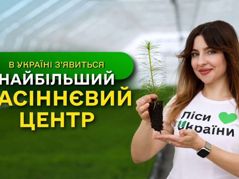 НАЙБІЛЬШИЙ в Україні ЗАВОД з виробництва СІЯНЦІВ / ДП “Ліси України” виконує програму ЗЕЛЕНА КРАЇНА