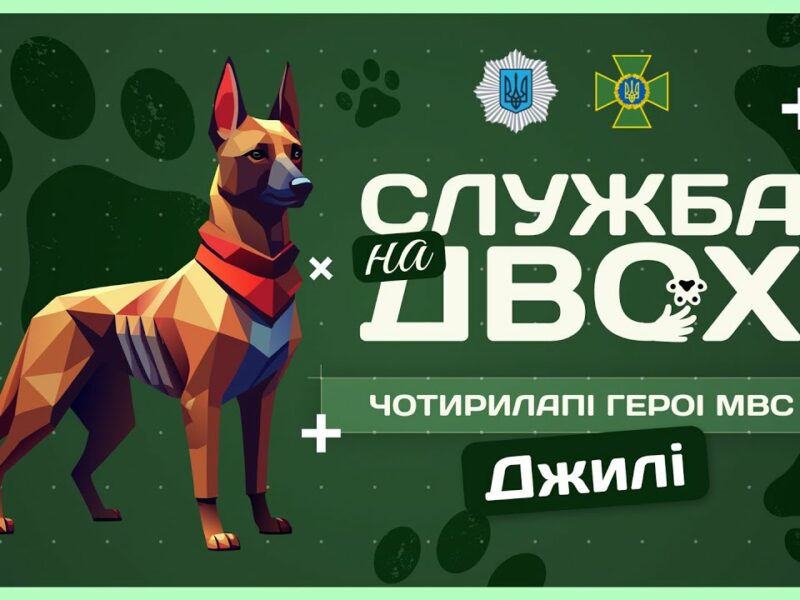🛂 ДЖИЛІ – собака-прикордонниця після окупації | Служба на двох