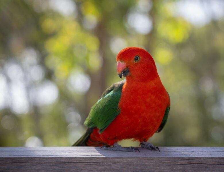 Гороскоп для всіх знаків зодіаку на 22 серпня 2025 року